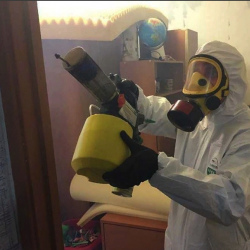 Уничтожение клопов в квартире. Аша